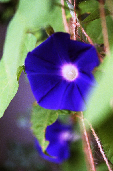 c0386291_05364816.jpg
