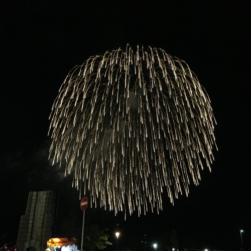 今朝からまたノンストップでパン焼きスタート_a0134394_05572593.jpeg