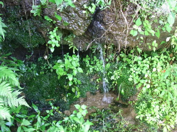 c0380497_22250291.jpg