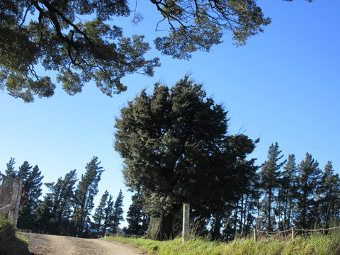 c0212604_20104840.jpg