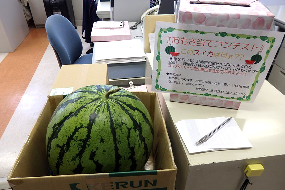 スイカの重さ当てクイズ開催 ブログ スイカの重さ当てクイズ開催 ブログ