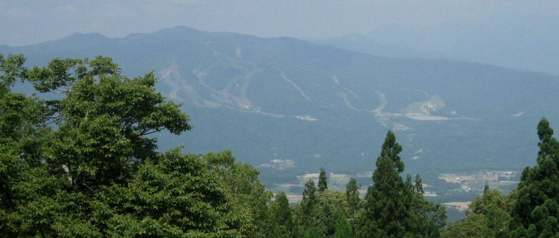 e0003910_2047675.jpg