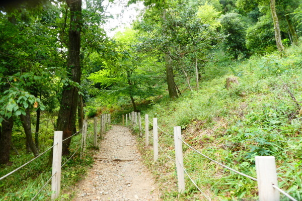 暑さ続く　鳩吹山 (313.5M)から犬山まで縦走する_d0170615_21223277.jpg