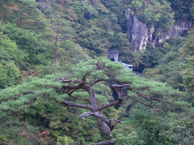 c0074721_15445457.jpg