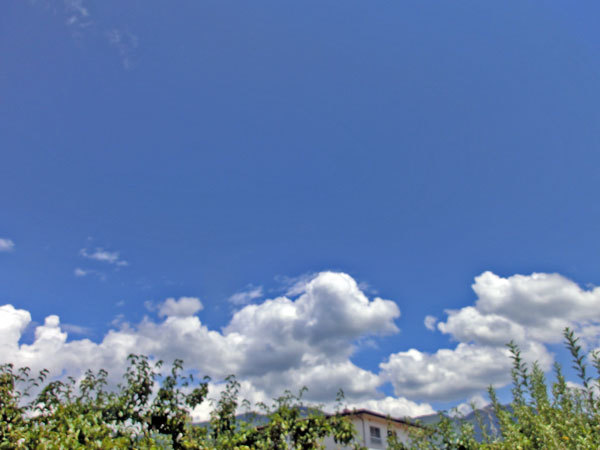 d0066822_12341282.jpg