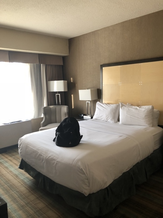 f0057324_11174328.jpeg
