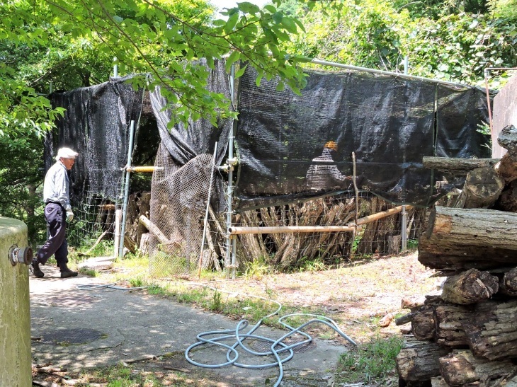 d0024426_08315233.jpg
