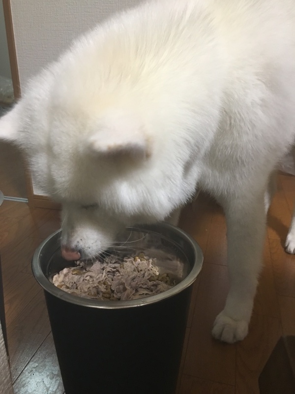 e0364035_15230346.jpeg