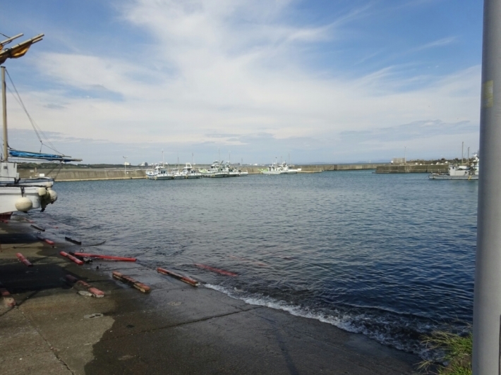 d0378837_16440769.jpg