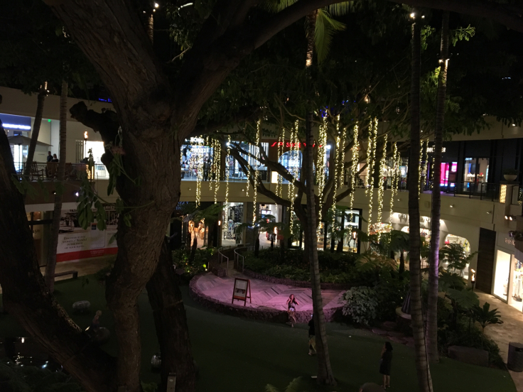 b0260738_15464158.jpg