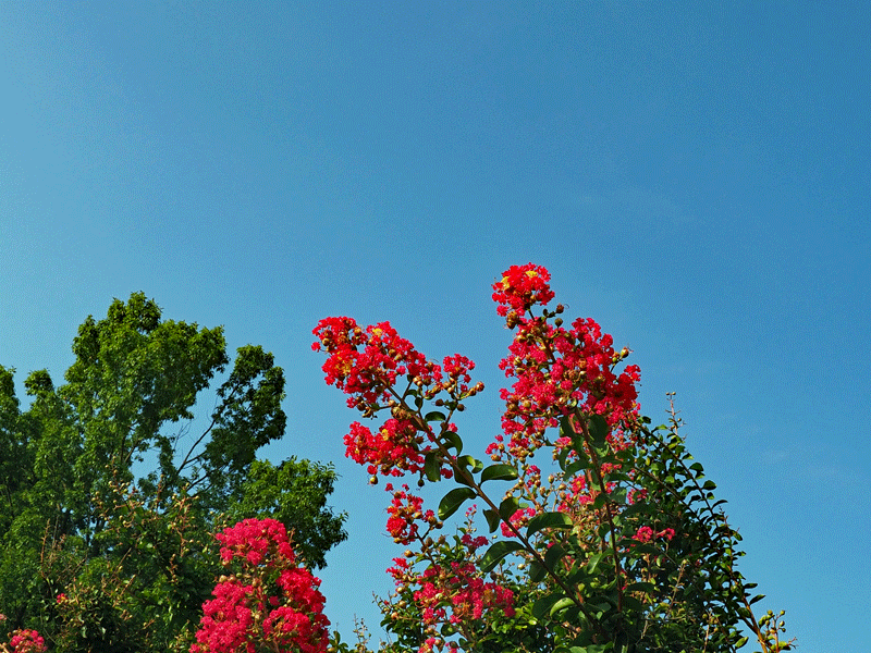 d0290240_09195459.gif