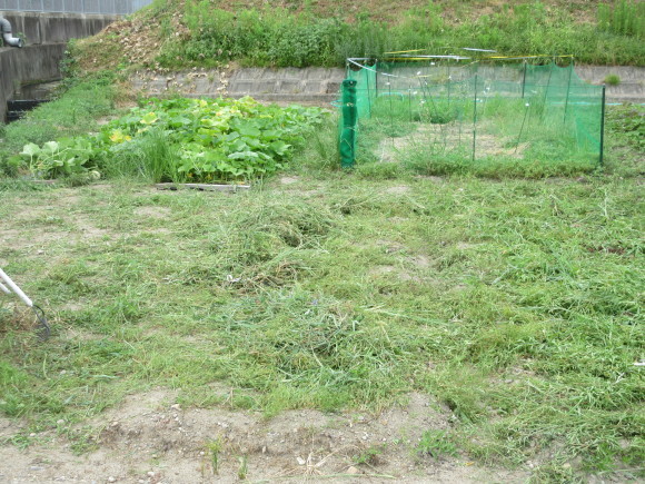 a0269341_06482109.jpg