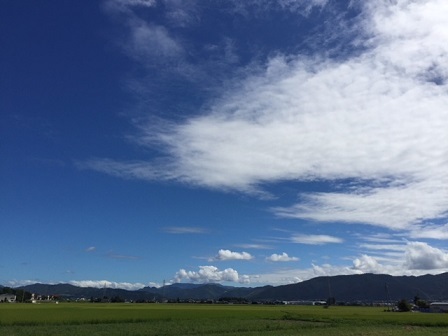 a0272241_17111414.jpeg