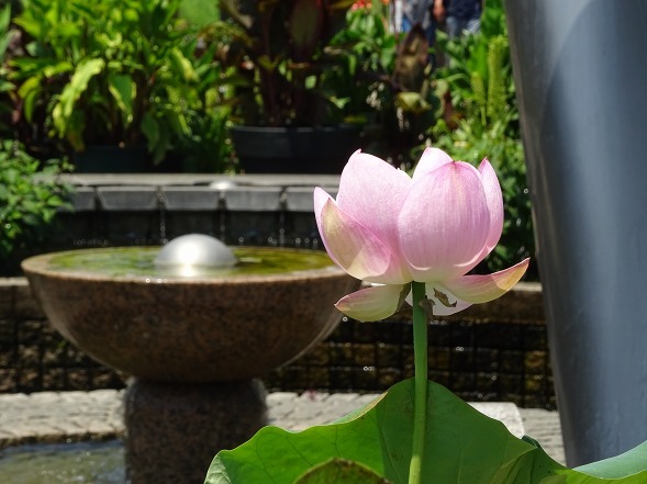 b0299042_14470275.jpg