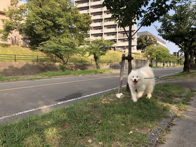 暑さに負けないように_f0128542_01072823.jpg