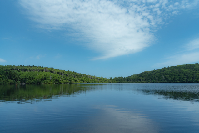 f0158043_23190054.jpg
