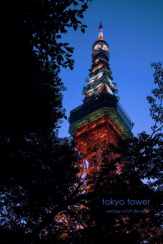 夏の東京タワー_d0124248_17473540.jpg