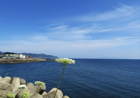 木古内から松前へ　福山街道（松前街道）を走る_b0220251_19592748.jpg