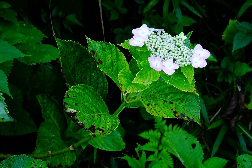 b0236251_13102362.jpg