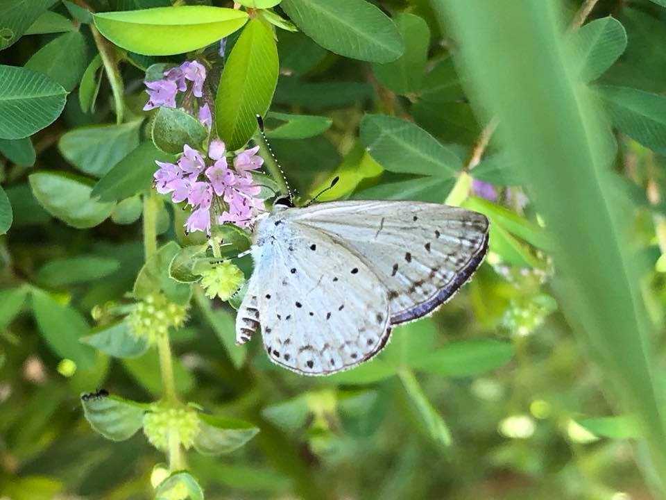 c0123363_1015728.jpg