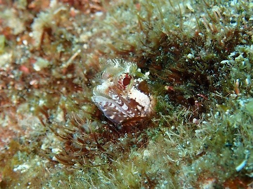 e0132965_07390197.jpg