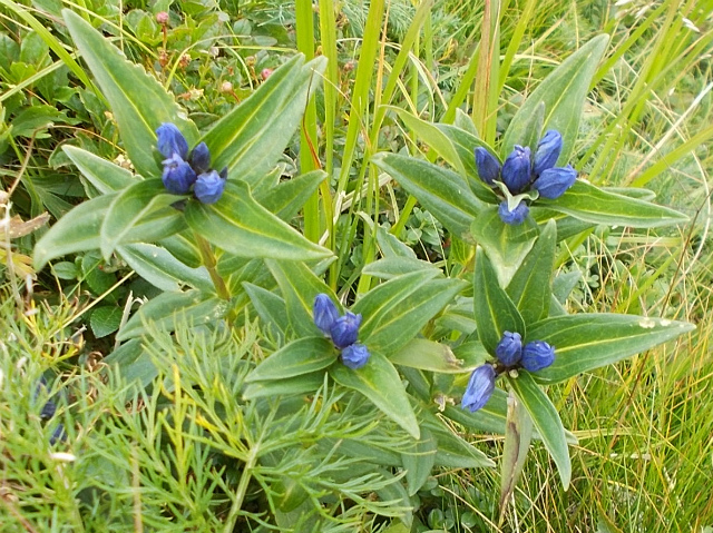 c0219866_14423783.jpg