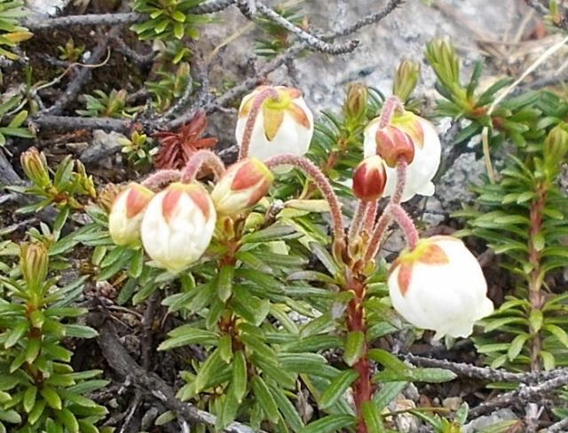 c0219866_15202846.jpg