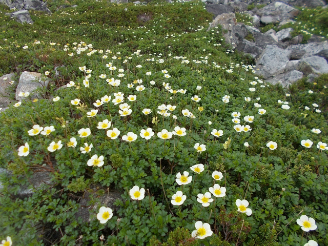 c0219866_16300644.jpg