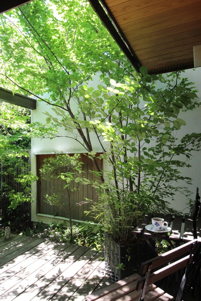 庭の樹木_c0310571_21190123.jpg