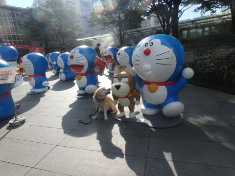 f0052277_02223829.jpg