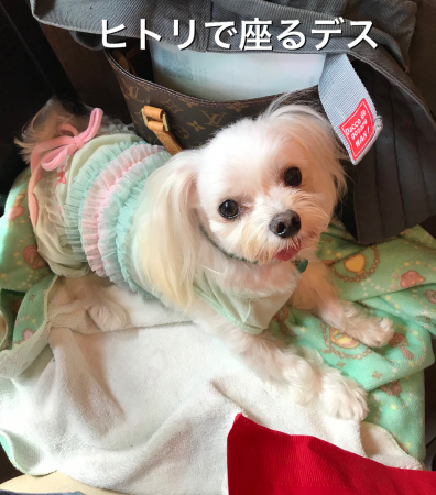 b0193480_19463897.jpeg