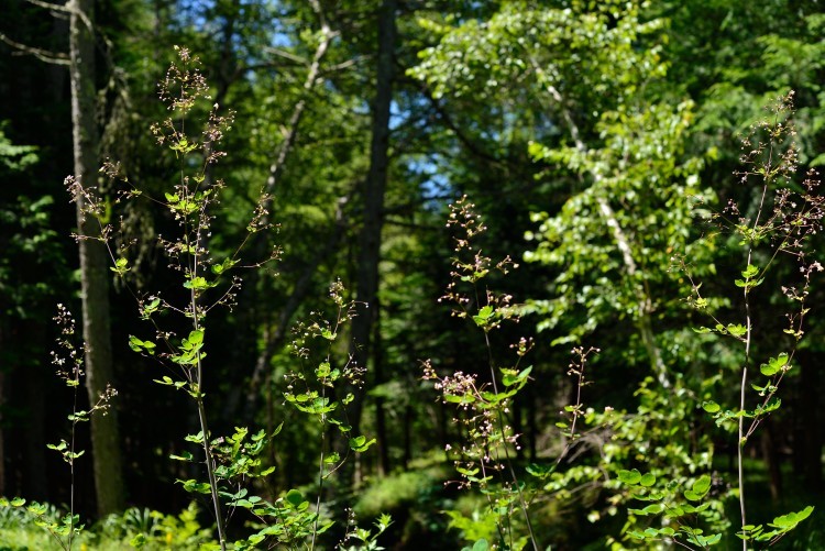 d0341880_10073900.jpg