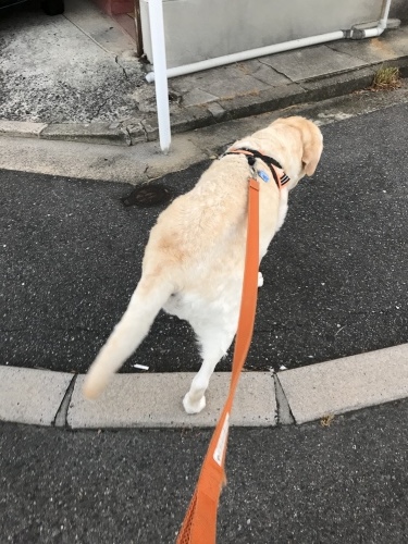 f0315081_23120536.jpeg