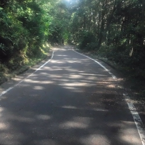 d0195183_07541828.jpeg