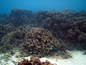 f0144385_20463390.jpg