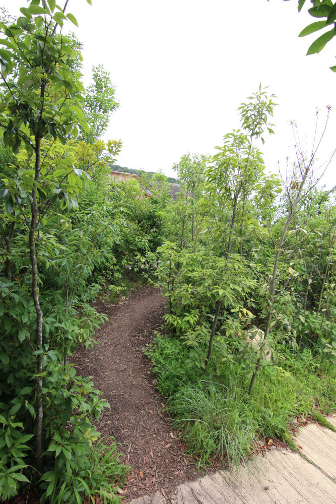 b0349892_11011237.jpg