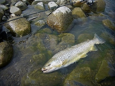 e0159392_12481461.jpg