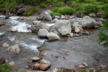 d0198793_11595645.jpg