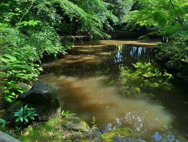 f0100593_16305206.jpg