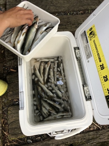 2018.8.3_d0087595_21233391.jpeg