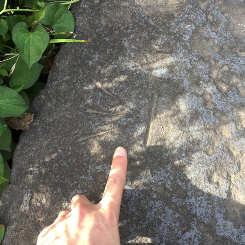c0238497_12203897.jpg