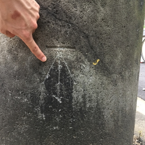 c0238497_12205735.jpg