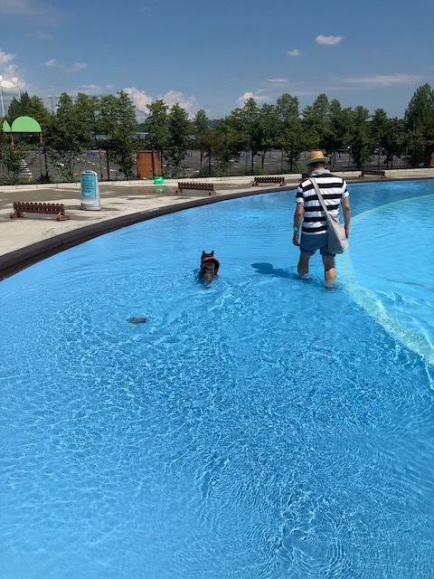 b0195100_11045765.jpeg