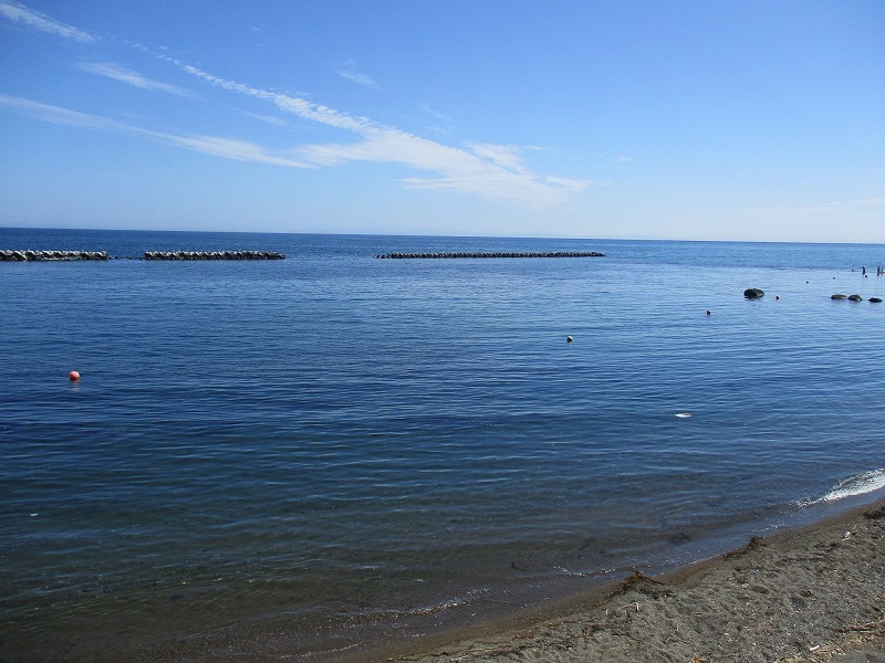 f0202703_20573817.jpg