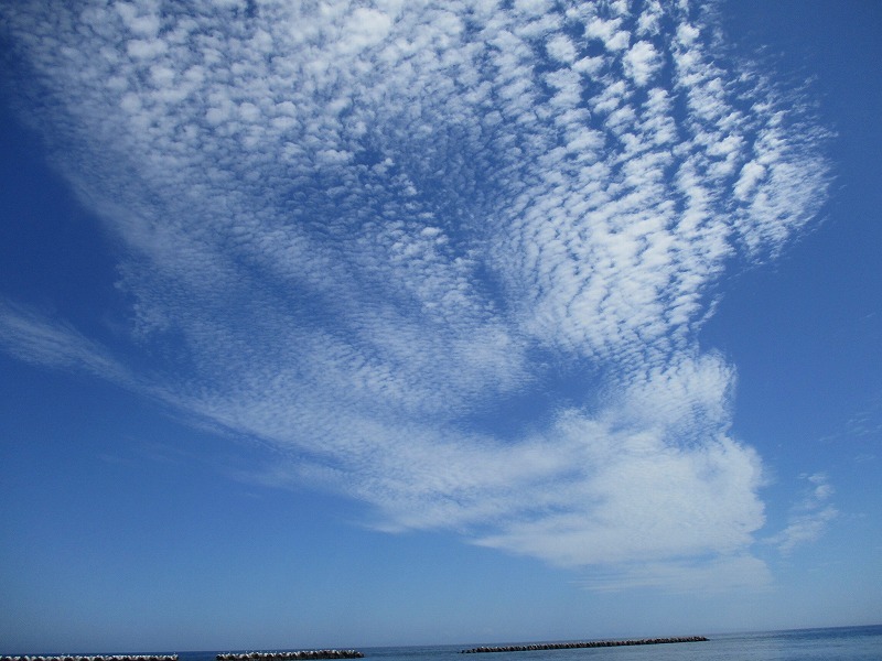 f0202703_21040234.jpg