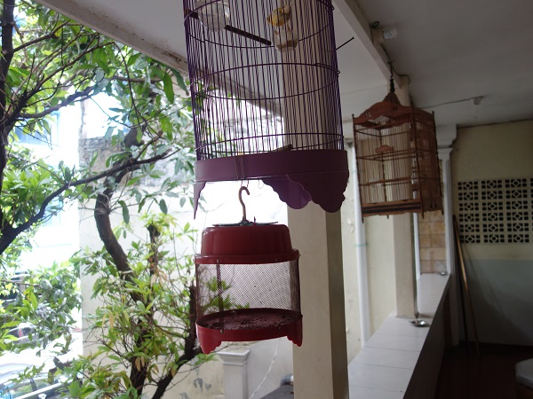 ジャラン・ジャクサのブロエン・スティーン・ホステル Bloem Steen Hostel_d0360509_18334299.jpg