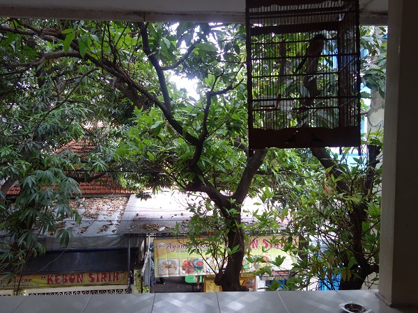 ジャラン・ジャクサのブロエン・スティーン・ホステル Bloem Steen Hostel_d0360509_18335965.jpg