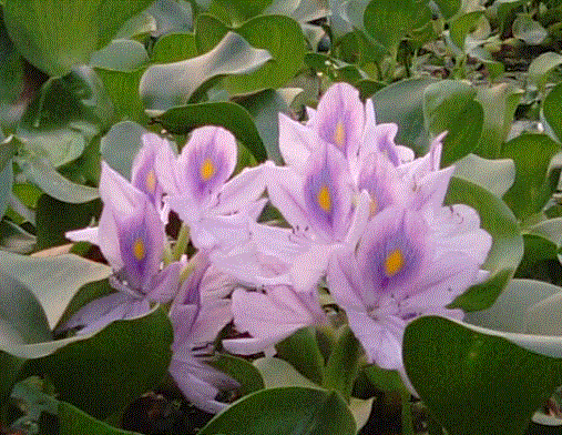 f0231709_17575549.gif