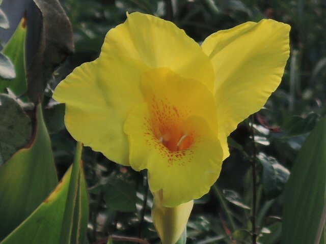 f0373109_14274152.jpg