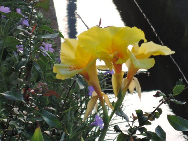 f0373109_14275904.jpg